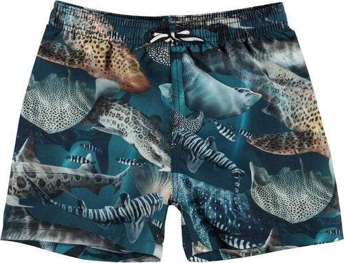 Molo, Badeshorts, Niko, Amazing Sharks