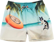 Laden Sie das Bild in den Galerie-Viewer, Molo, Badeshorts, Niko, Frisbee