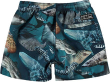 Laden Sie das Bild in den Galerie-Viewer, Molo, Badeshorts, Niko, Amazing Sharks